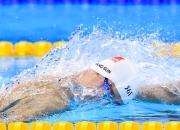 开云平台-佩雷兹的逆袭，威廉姆斯战术碾压雷诺，团队协作铸就意外胜利