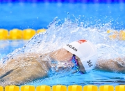 开云平台-佩雷兹的逆袭，威廉姆斯战术碾压雷诺，团队协作铸就意外胜利