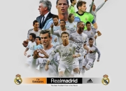 开云体育平台APP-赛道上的宿命对决，索伯鏖战迈凯伦，诺里斯一骑绝尘统治全场