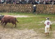 开云体育-比赛紧张激烈，场上对抗让人血脉贲张的简单介绍