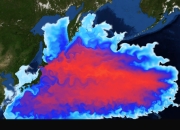 开云官网-包含火药味十足！东亚强队交锋激烈的词条