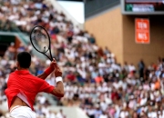 开云体育登录-关于德国网球队横扫日本网球队，德约科维奇高光表现的信息