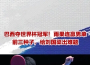 开云体育下载-瑞典乒乓球队绝地反击日本乒乓球队，奥恰洛夫绝境逆转