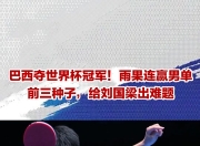 开云体育下载-瑞典乒乓球队绝地反击日本乒乓球队，奥恰洛夫绝境逆转