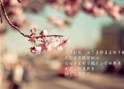 开云体育app-猛龙末节狂飙带走山西队，美加墨世界杯焦点战启示录