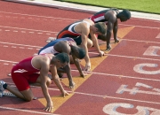 开云体育-跨界统治力，太阳强势拿下广东队，东契奇在F1赛道接管争冠战