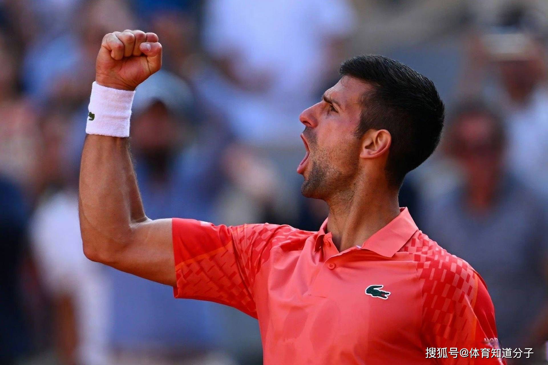 包含日本网球队绝地反击英国网球队，德约科维奇惊艳世界的词条