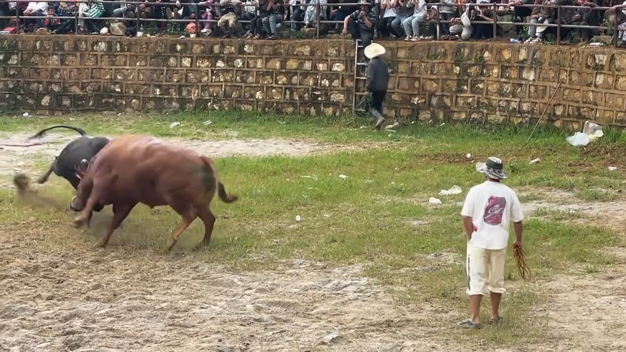 比赛紧张激烈,场上对抗让人血脉贲张的简单介绍 比赛紧张激烈,场上对抗让人血脉贲张的简单介绍