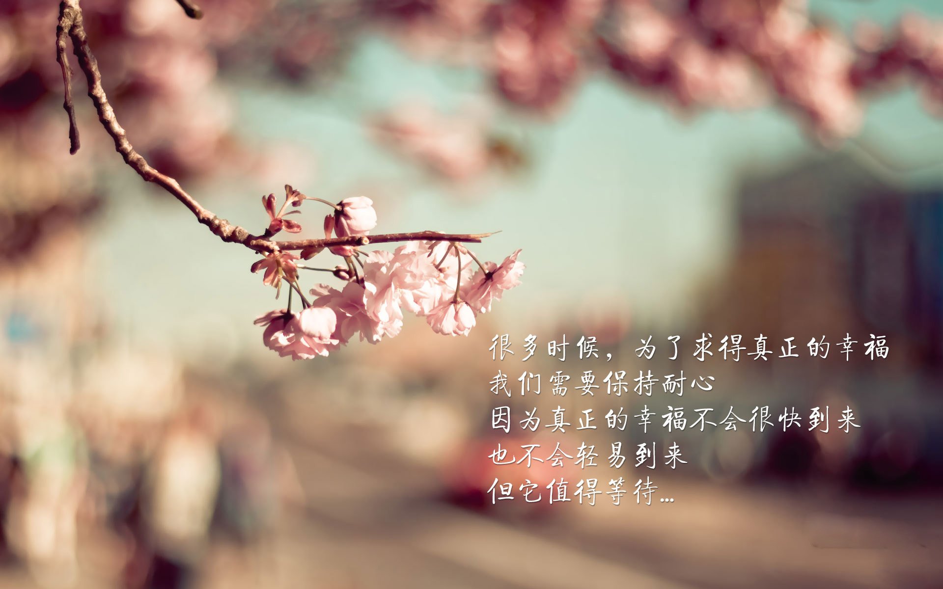 猛龙末节狂飙带走山西队，美加墨世界杯焦点战启示录