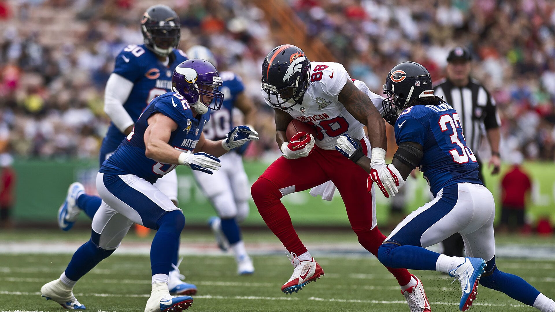 蛰刺与巨角,黄蜂如何用防守冲垮雄鹿