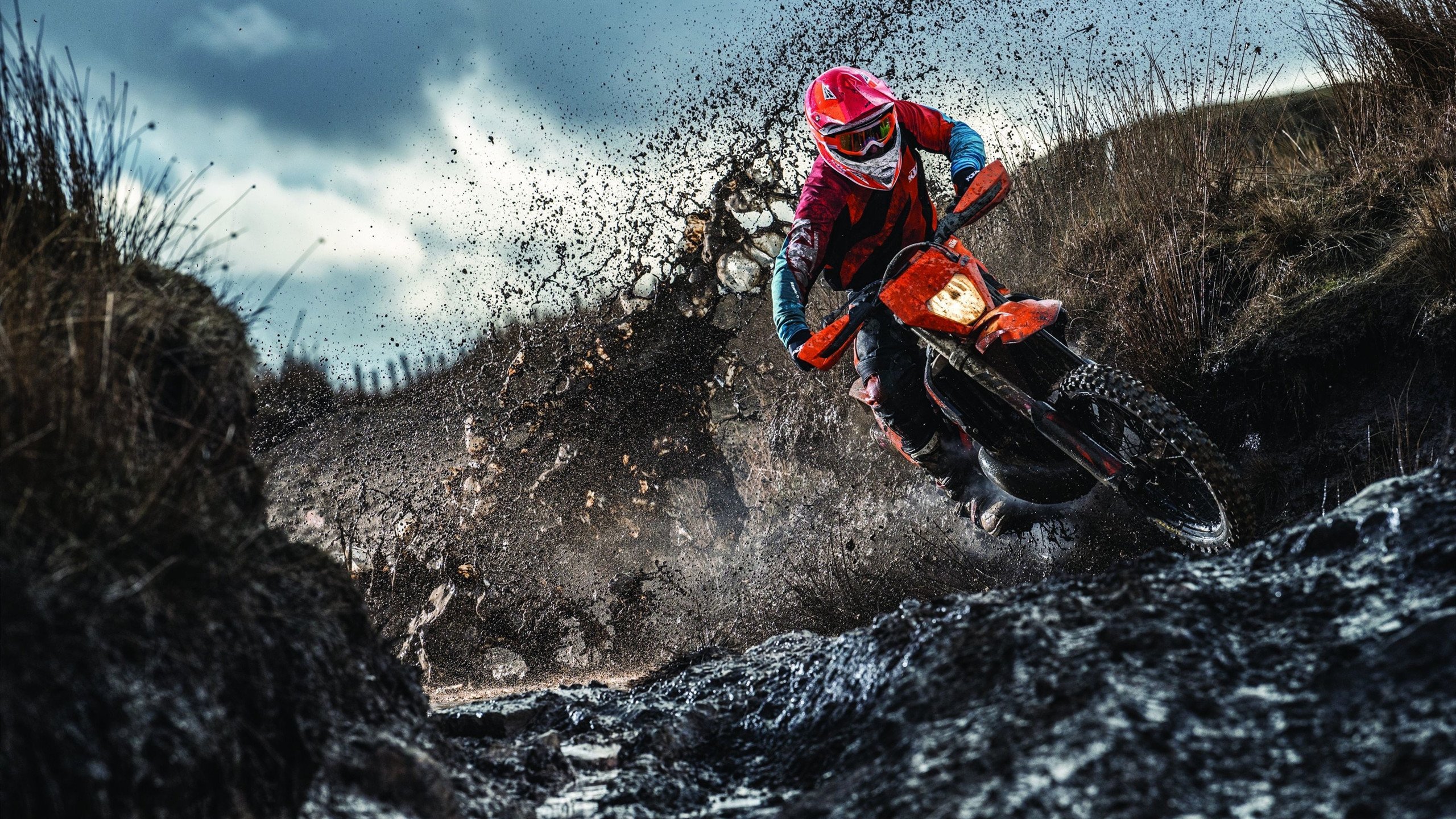 绿茵场上的横扫与羽球场上的统治，德国足球与李梓嘉的胜利交响